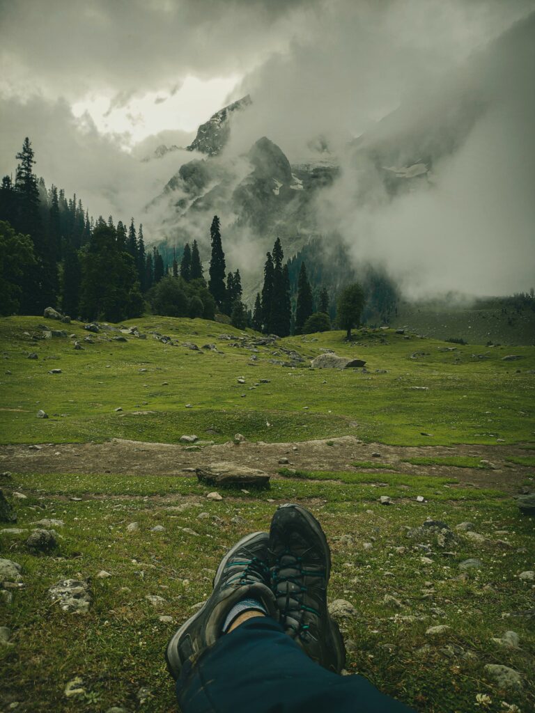 chaussure de randonnee Horizon